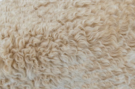 How Sustainable Fabrics are Better for Your Skin