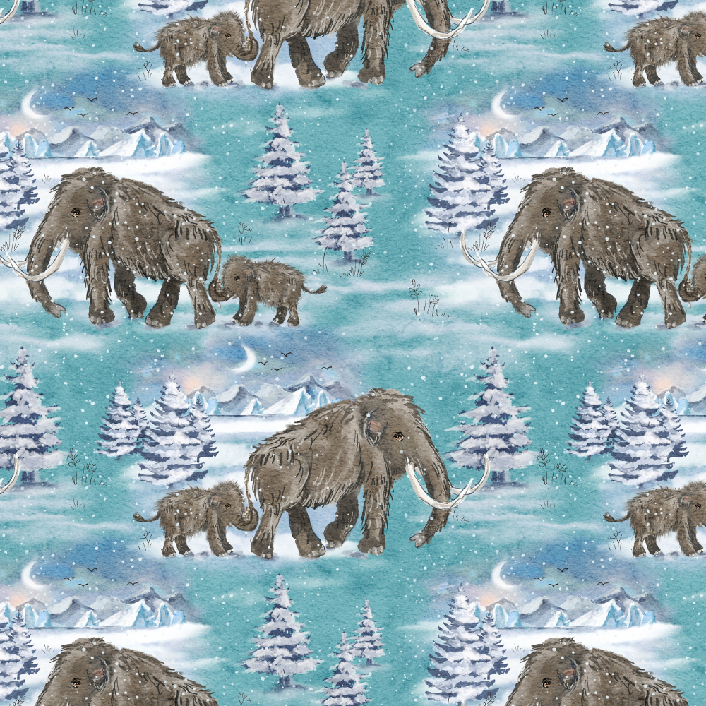 Woolly Wonderland