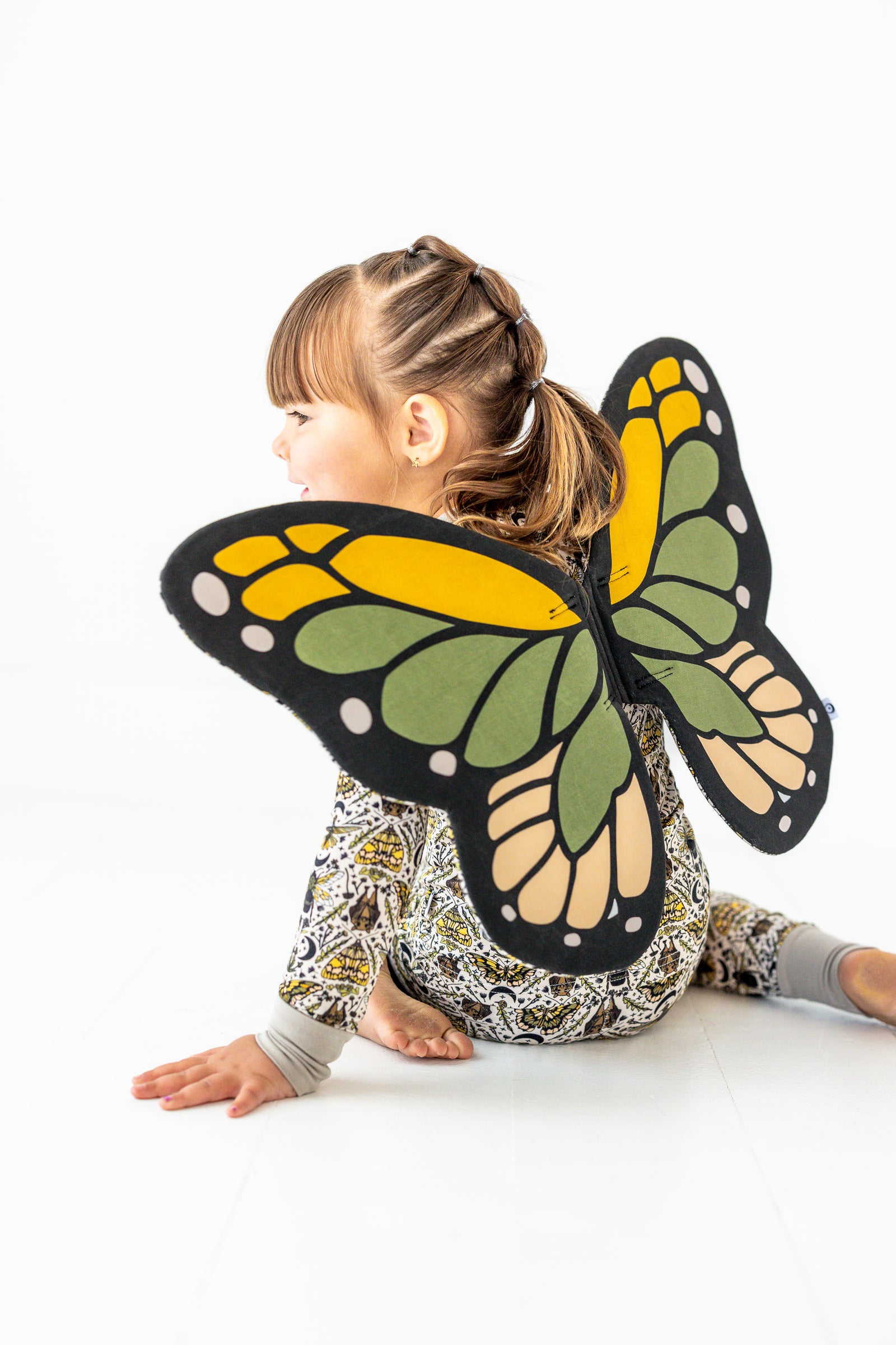 Kids' Butterfly Wings Costume