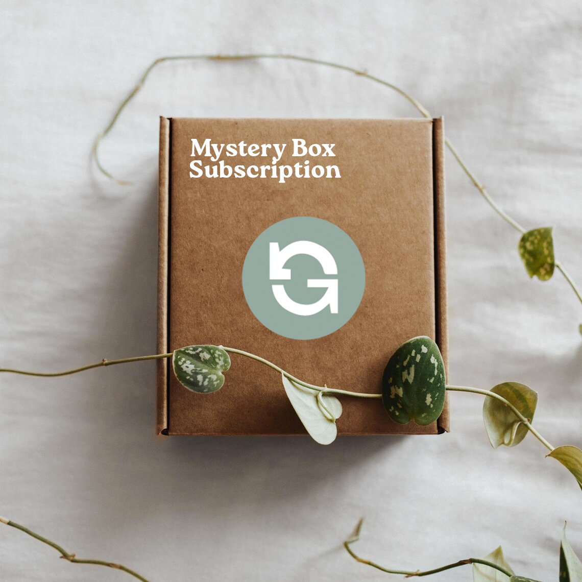Mystery Box Subscription - Sibling Match (One Set, Old Prints)